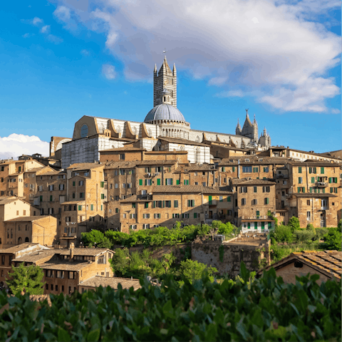 Experience the beauty of Tuscany in nearby Siena