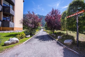 The Juliette image 15