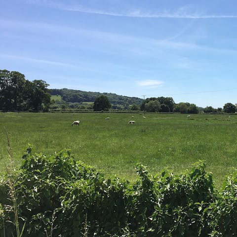 Explore the Cotswolds on foot via the Cotswolds Way walking path, right on your doorstep