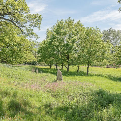 Go hiking through beautiful countryside and make your way to the market town of Hadleigh  – a forty–minute walk