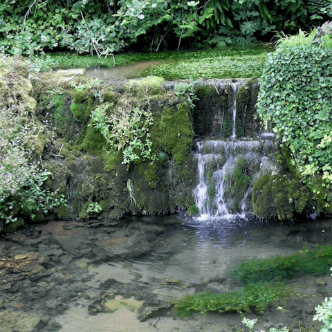 Explore Wookey Hole Caves for a fun-filled family day out