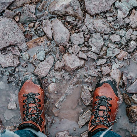 Head inland and go for a family hike up the world-famous Table Mountain