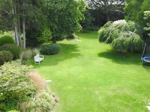 The River Stour image 13