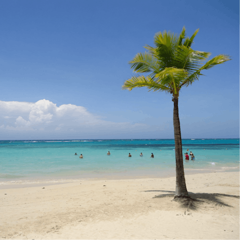 Skip down to Treasure Beach, located at the bottom of your garden