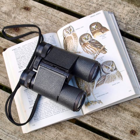 Go birdwatching at Sculthorpe Moor Nature Reserve, just under a ten-minute ride from this home