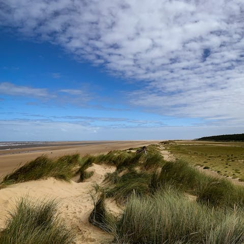 Spend the day at Holkham Beach, a thirty-minute drive away