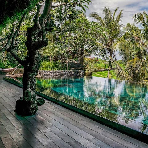 Take a refreshing dip in the infinity swimming pool overlooking the rice fields