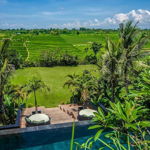 Soak up never-ending green views over the rice fields from the rooftop terrace