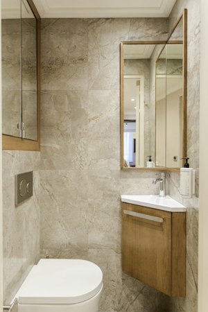 White Dove image 14