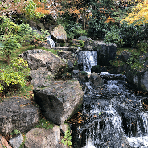 Take a break from the city in nearby Holland Park