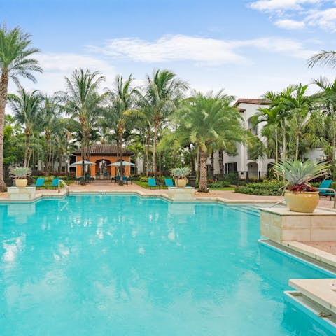 Cool off in the palm-lined swimming pool