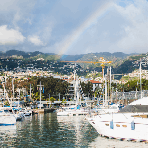 Organise a guided tour or explore the coast by boat