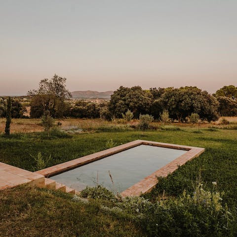 Bathe in the wild garden thanks to the inviting stone swimming pool