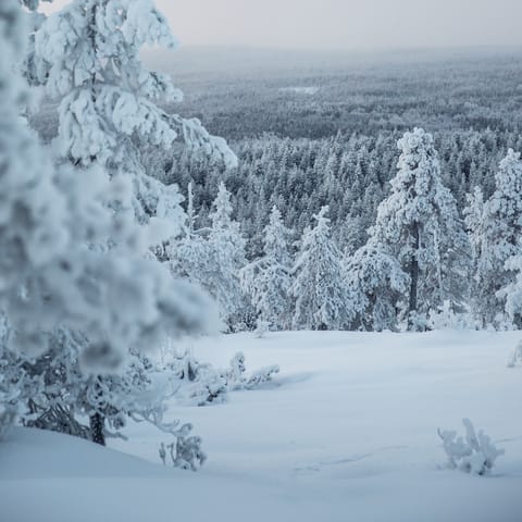 Zoom down the Lapland slopes from this Levi resort