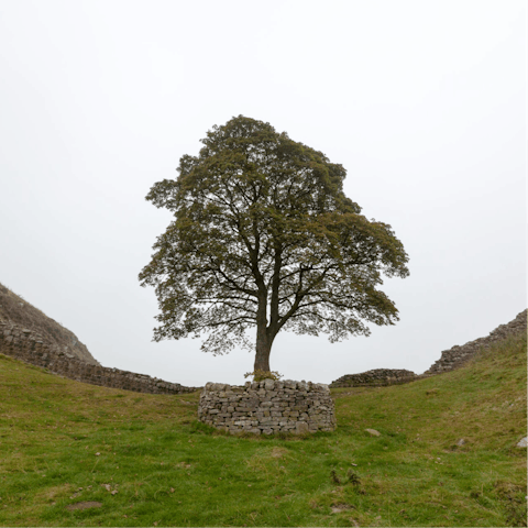 Take a walk around Northumberland’s National Park – just a short drive away