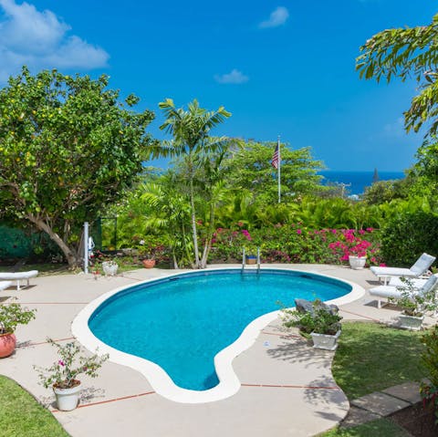 Lounge in the sun by the glistening private pool and admire the Caribbean Sea views 