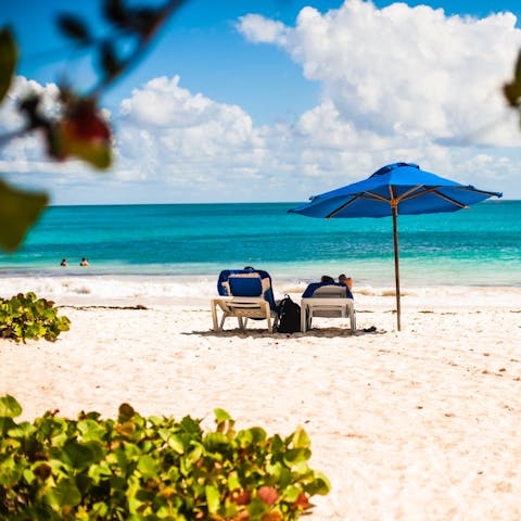 Immerse yourself in the dreamy landscapes of the West Coast of Barbados