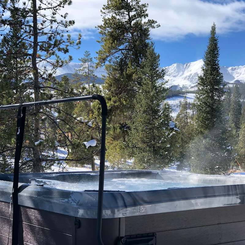 Moose watch from the hot tub