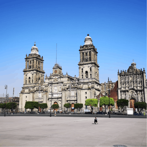 Explore Mexico City from the trendy district of Condesa