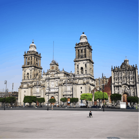 Explore Mexico City from the trendy district of Condesa