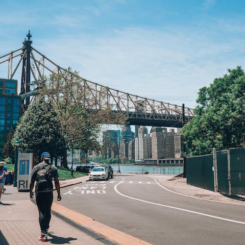 Visit Roosevelt Island – twenty-two minutes away via ferry