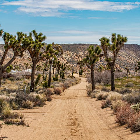 Explore Joshua Tree National Park, a 25-minute away