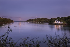 Sea of Dreaming image 13