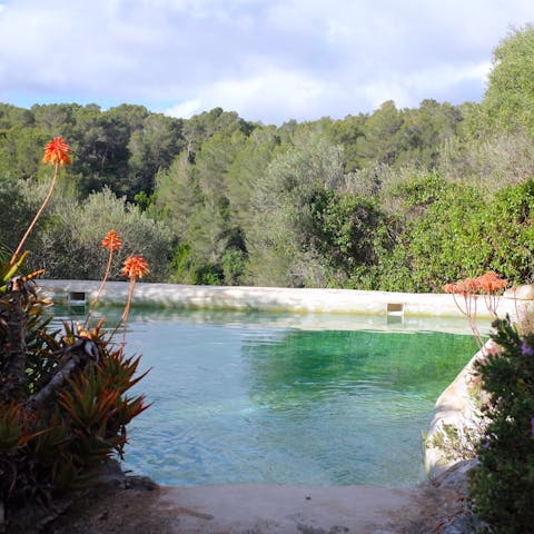 Go for a morning dip in the private pool with picturesque views