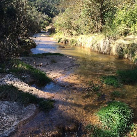 Seek out the idyllic streams and waterfalls that surround this home