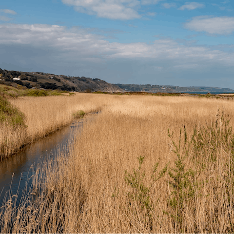Stroll around Slapton Ley National Nature Reserve, which starts behind the home