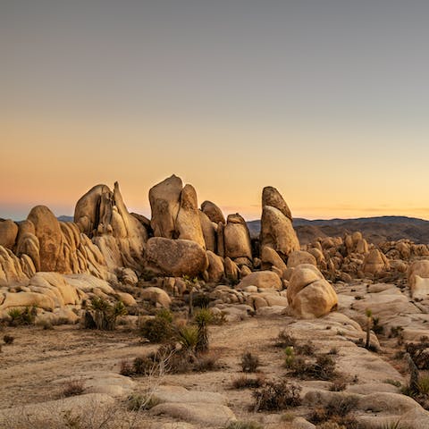 Visit the breathtaking Joshua Tree National Park – a forty-five minute drive away