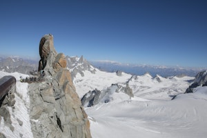 Timber & Frost image 11