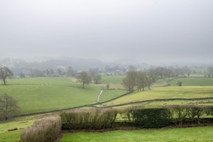 The Swifts' Nest image 9