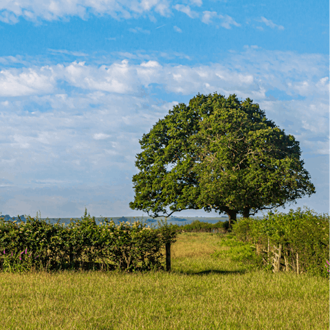 Take an afternoon stroll through the surrounding countryside