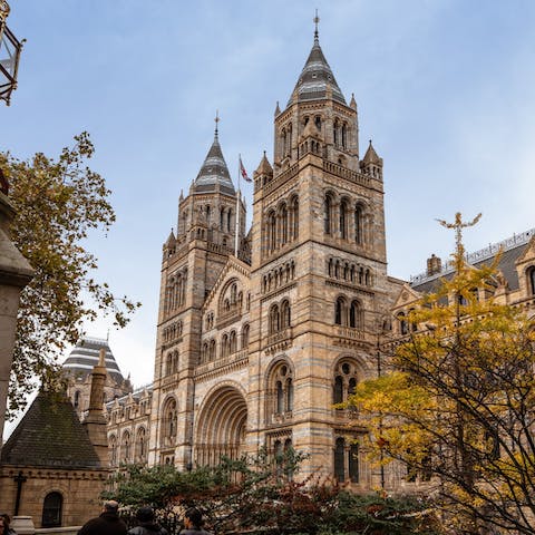 Take a fun day trip out to the Natural History Museum, just a ten-minute stroll away