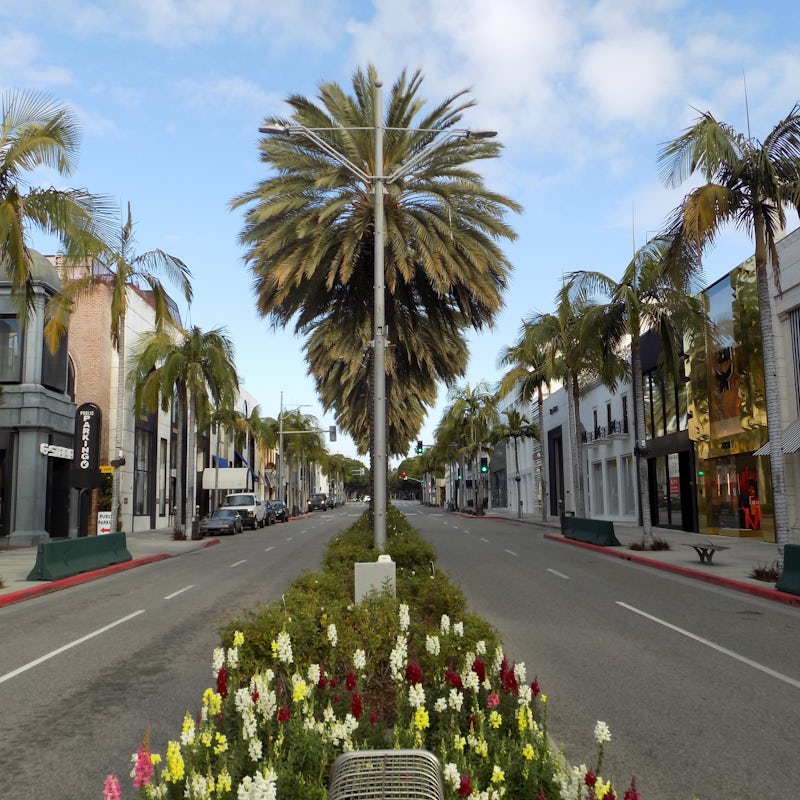 Visit Beverly Hills' most iconic sights, including Rodeo Drive