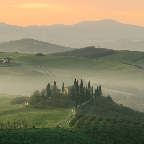 Discover the Tuscan countryside from your location in Torrita di Siena