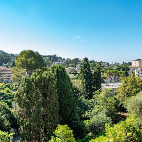 Admire the verdant views over Cannes