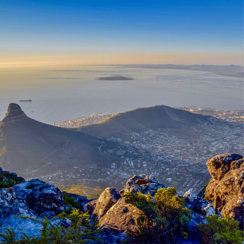 Visit nearby Table Mountain and take a hike or cable car to the top