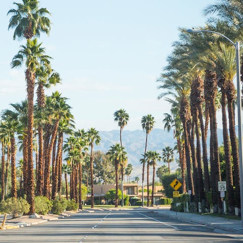 Explore the beauty of Greater Palm Springs area