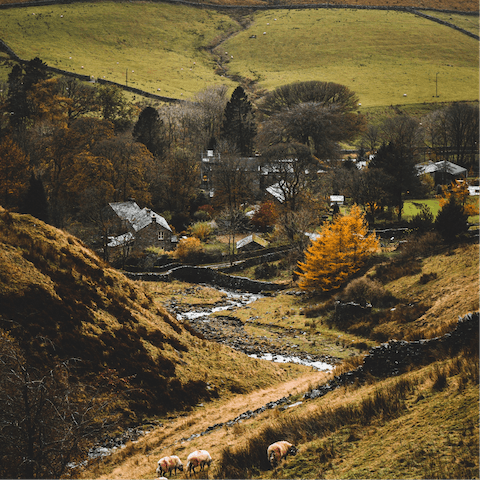 Visit the idyllic market towns of Bedale, Leyburn and Masham, less than a fifteen-minute drive away
