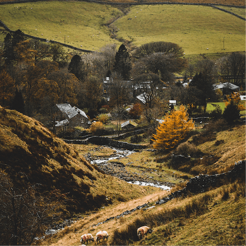 Visit the idyllic market towns of Bedale, Leyburn and Masham, less than a fifteen-minute drive away 