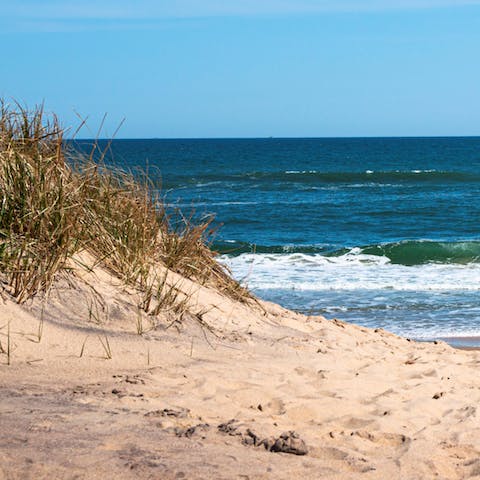 Sun yourself on the world-famous beaches of the Hamptons