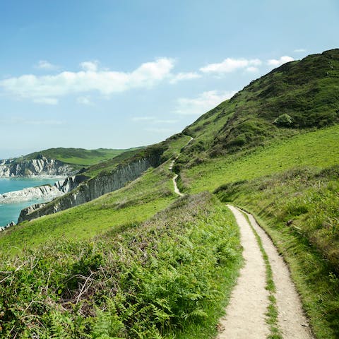 Test out Devon's famed hikes along the many coastal nature trails