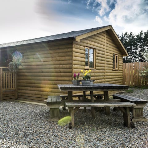Sit down to a picnic outside your modern log cabin