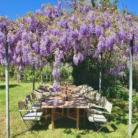 Serve up a Greek feast in the garden