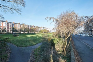 Sea Cliff image 4