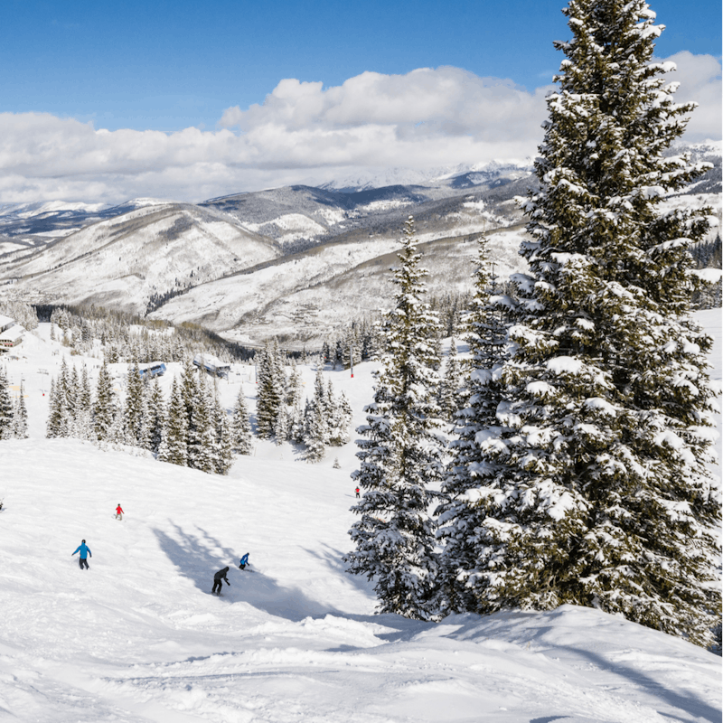 Spend the day skiing on the snowy peaks, the nearest ski run is only fifty–feet away