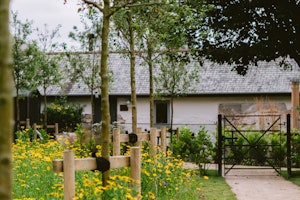 The Cornish Stables image 11