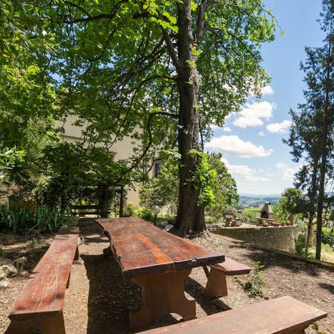 Dine at the rustic table amidst the ancient trees